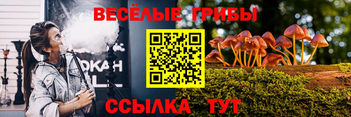 Псилоцибиновые грибы мицелий  Вход с VPN  Галлюциногенные грибы GOLDEN TEACHER  Алатырь 